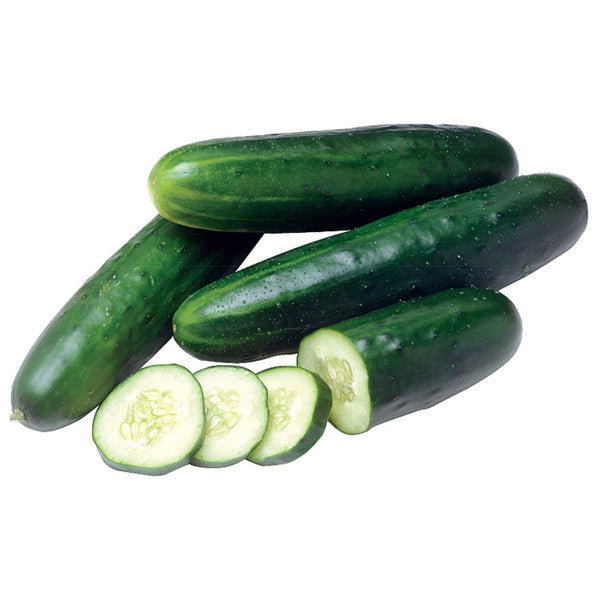 STRAIGHT 8 CUCUMBER SEED 1 OZ