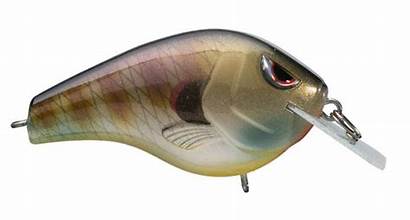 SPRO FAT PAPA SB 55 1/2oz BLUEGILL