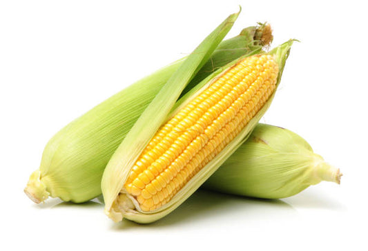 BODACIOUS CORN 1LBS