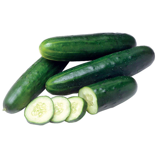 STRAIGHT 8 CUCUMBER SEED 1 OZ