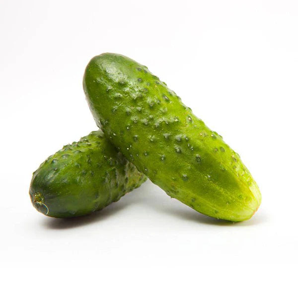 PICKLING CUCUMBERS SEED 1 OZ