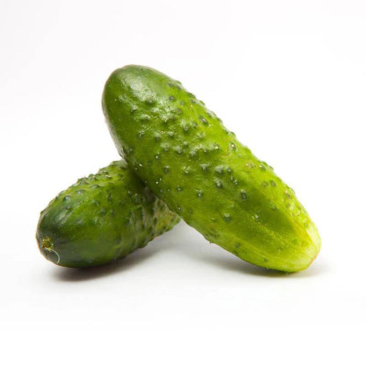 PICKLING CUCUMBERS SEED 1 OZ