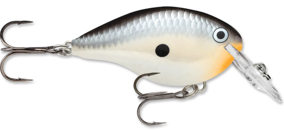 RAPALA DT-4 CRANK BAIT